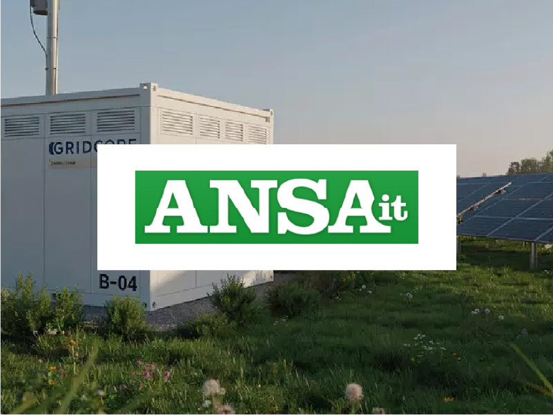 ansa